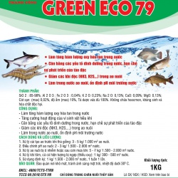 Green Eco 79