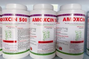 AMOXCIN 500