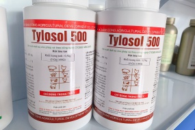 TYLOSOL 500 
